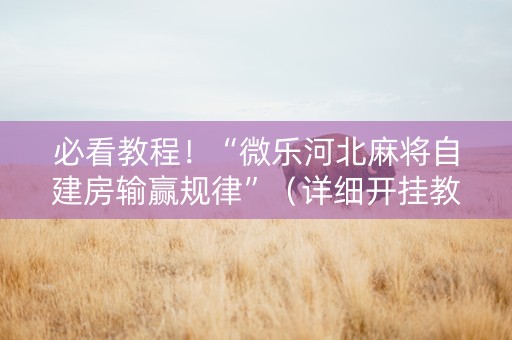 必看教程！“微乐河北麻将自建房输赢规律”（详细开挂教程）-哔哩哔哩