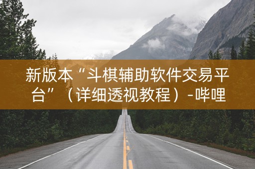 新版本“斗棋辅助软件交易平台”（详细透视教程）-哔哩哔哩