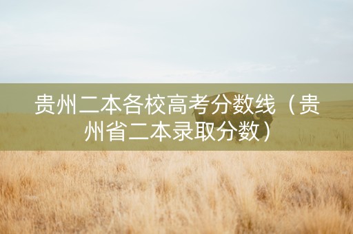 贵州二本各校高考分数线（贵州省二本录取分数）