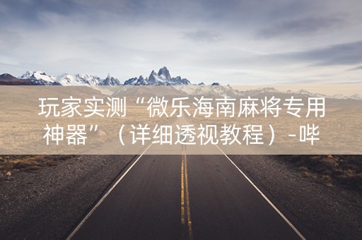 玩家实测“微乐海南麻将专用神器”（详细透视教程）-哔哩哔哩