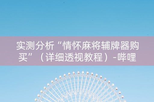 实测分析“情怀麻将辅牌器购买”（详细透视教程）-哔哩哔哩