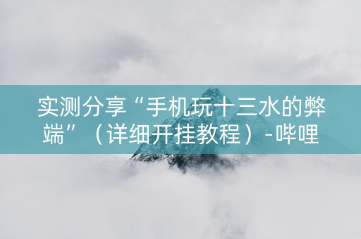 实测分享“手机玩十三水的弊端”（详细开挂教程）-哔哩哔哩
