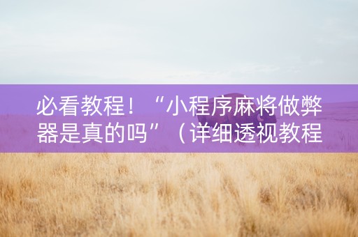 必看教程！“小程序麻将做弊器是真的吗”（详细透视教程）-哔哩哔哩
