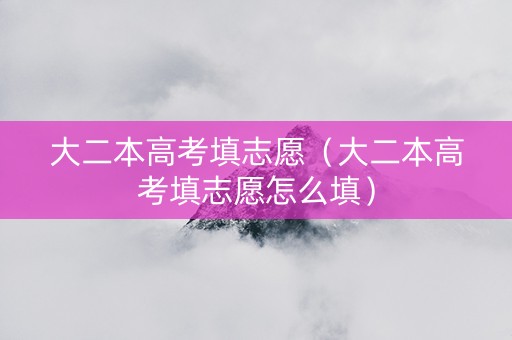 大二本高考填志愿（大二本高考填志愿怎么填）