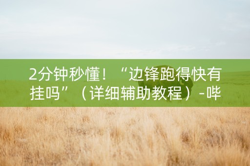 2分钟秒懂！“边锋跑得快有挂吗”（详细辅助教程）-哔哩哔哩