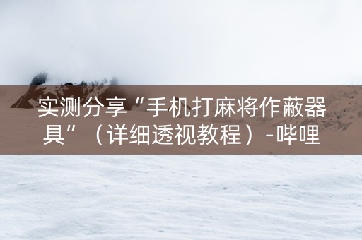 实测分享“手机打麻将作蔽器具”（详细透视教程）-哔哩哔哩