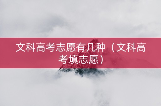 文科高考志愿有几种（文科高考填志愿）