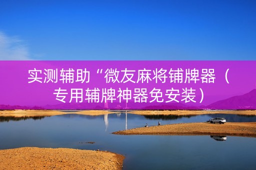 实测辅助“微友麻将铺牌器（专用辅牌神器免安装）