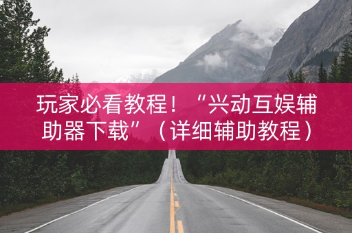 玩家必看教程！“兴动互娱辅助器下载”（详细辅助教程）-哔哩哔哩