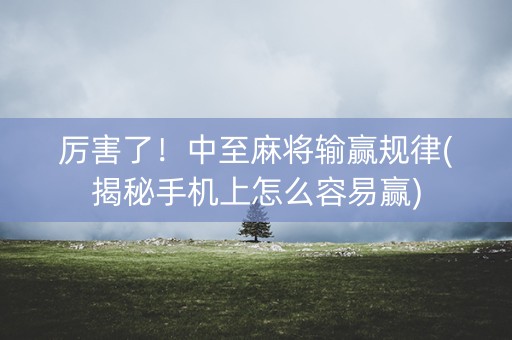 厉害了！中至麻将输赢规律(揭秘手机上怎么容易赢)