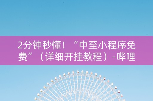 2分钟秒懂！“中至小程序免费”（详细开挂教程）-哔哩哔哩