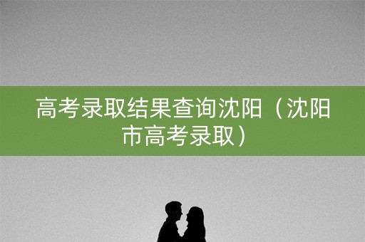 高考录取结果查询沈阳（沈阳市高考录取）