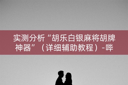实测分析“胡乐白银麻将胡牌神器”（详细辅助教程）-哔哩哔哩
