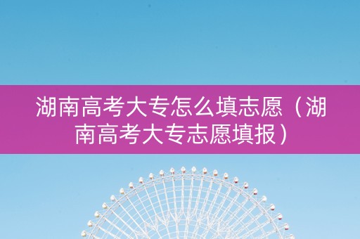 湖南高考大专怎么填志愿（湖南高考大专志愿填报）