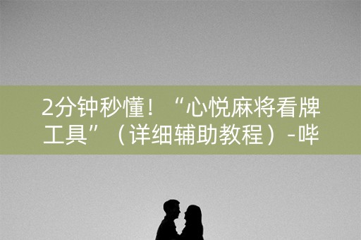 2分钟秒懂！“心悦麻将看牌工具”（详细辅助教程）-哔哩哔哩