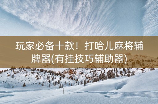 玩家必备十款！打哈儿麻将辅牌器(有挂技巧辅助器)