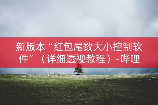 新版本“红包尾数大小控制软件”（详细透视教程）-哔哩哔哩