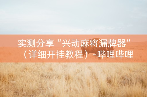 实测分享“兴动麻将漏牌器”（详细开挂教程）-哔哩哔哩