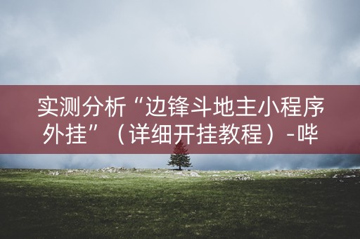 实测分析“边锋斗地主小程序外挂”（详细开挂教程）-哔哩哔哩