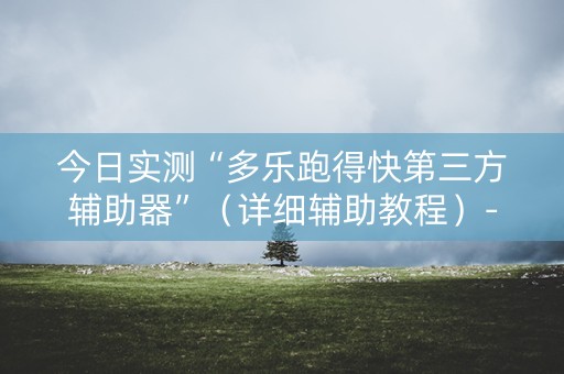 今日实测“多乐跑得快第三方辅助器”（详细辅助教程）-哔哩哔哩