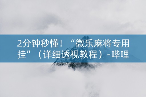 2分钟秒懂！“微乐麻将专用挂”（详细透视教程）-哔哩哔哩