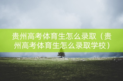 贵州高考体育生怎么录取（贵州高考体育生怎么录取学校）