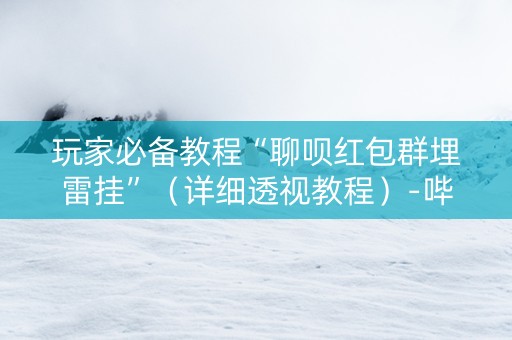 玩家必备教程“聊呗红包群埋雷挂”（详细透视教程）-哔哩哔哩