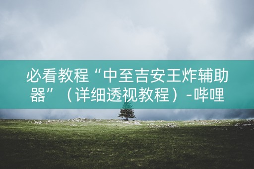 必看教程“中至吉安王炸辅助器”（详细透视教程）-哔哩哔哩
