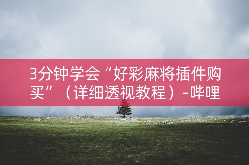 3分钟学会“好彩麻将插件购买”（详细透视教程）-哔哩哔哩