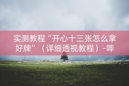 实测教程“开心十三张怎么拿好牌”（详细透视教程）-哔哩哔哩