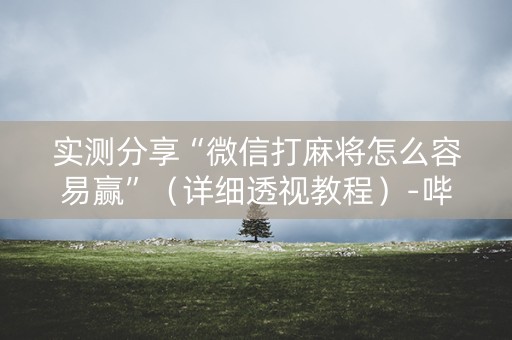 实测分享“微信打麻将怎么容易赢”（详细透视教程）-哔哩哔哩