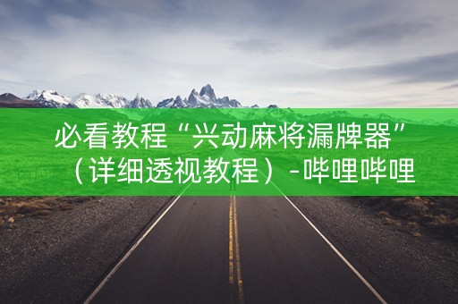 必看教程“兴动麻将漏牌器”（详细透视教程）-哔哩哔哩