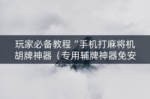 玩家必备教程“手机打麻将机胡牌神器（专用辅牌神器免安装）