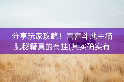 分享玩家攻略！喜喜斗地主猫腻秘籍真的有挂(其实确实有挂)