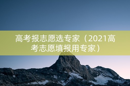 高考报志愿选专家（2021高考志愿填报用专家）
