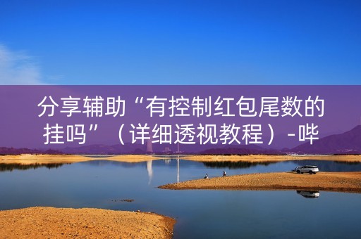 分享辅助“有控制红包尾数的挂吗”（详细透视教程）-哔哩哔哩