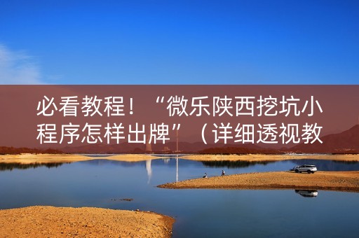 必看教程！“微乐陕西挖坑小程序怎样出牌”（详细透视教程）-哔哩哔哩