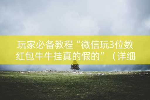 玩家必备教程“微信玩3位数红包牛牛挂真的假的”（详细透视教程）-哔哩哔哩
