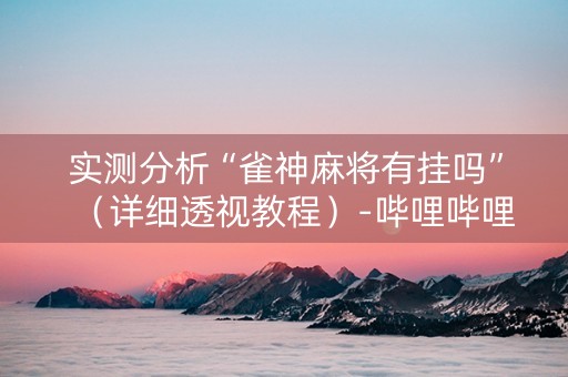 实测分析“雀神麻将有挂吗”（详细透视教程）-哔哩哔哩