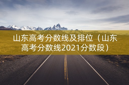山东高考分数线及排位（山东高考分数线2021分数段）