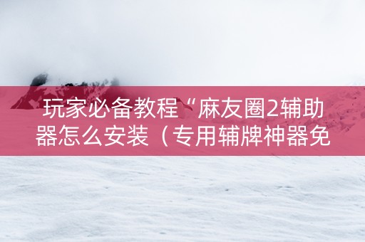 玩家必备教程“麻友圈2辅助器怎么安装（专用辅牌神器免安装）