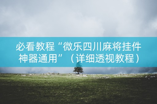 必看教程“微乐四川麻将挂件神器通用”（详细透视教程）-哔哩哔哩