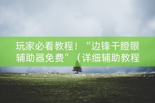 玩家必看教程！“边锋干瞪眼辅助器免费”（详细辅助教程）-哔哩哔哩
