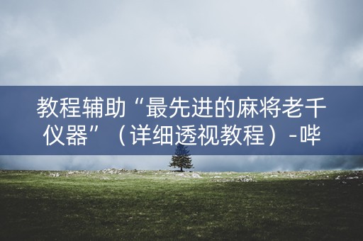 教程辅助“最先进的麻将老千仪器”（详细透视教程）-哔哩哔哩