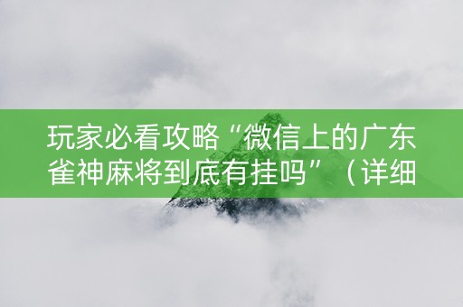 玩家必看攻略“微信上的广东雀神麻将到底有挂吗”（详细透视教程）-哔哩哔哩