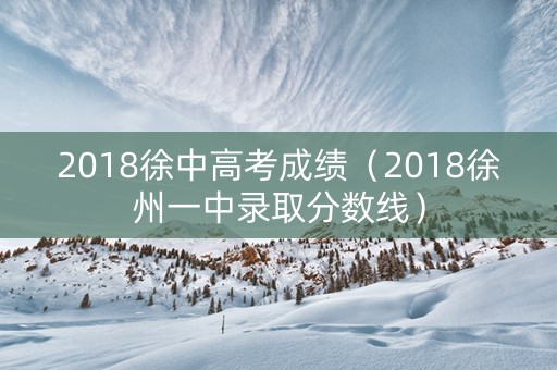 2018徐中高考成绩（2018徐州一中录取分数线）
