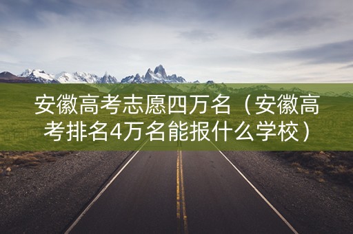 安徽高考志愿四万名（安徽高考排名4万名能报什么学校）