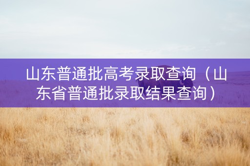 山东普通批高考录取查询（山东省普通批录取结果查询）