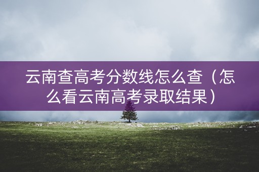 云南查高考分数线怎么查（怎么看云南高考录取结果）