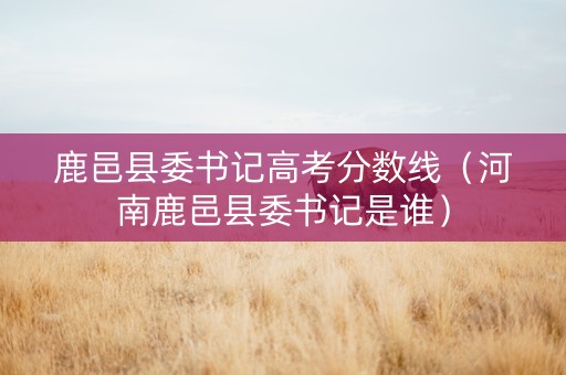鹿邑县委书记高考分数线（河南鹿邑县委书记是谁）